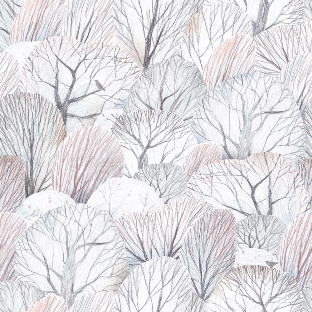 White Forest Treetops