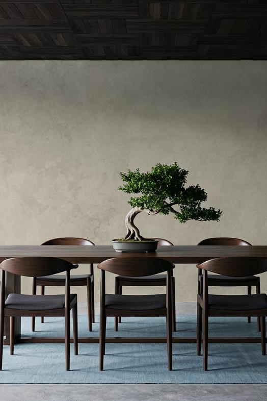 Subtle Plaster Wall, Alpine Oat