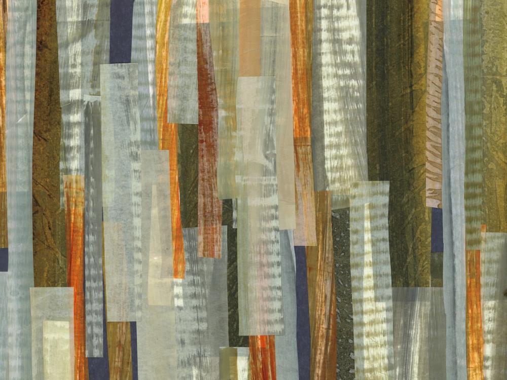 River Trout Study III