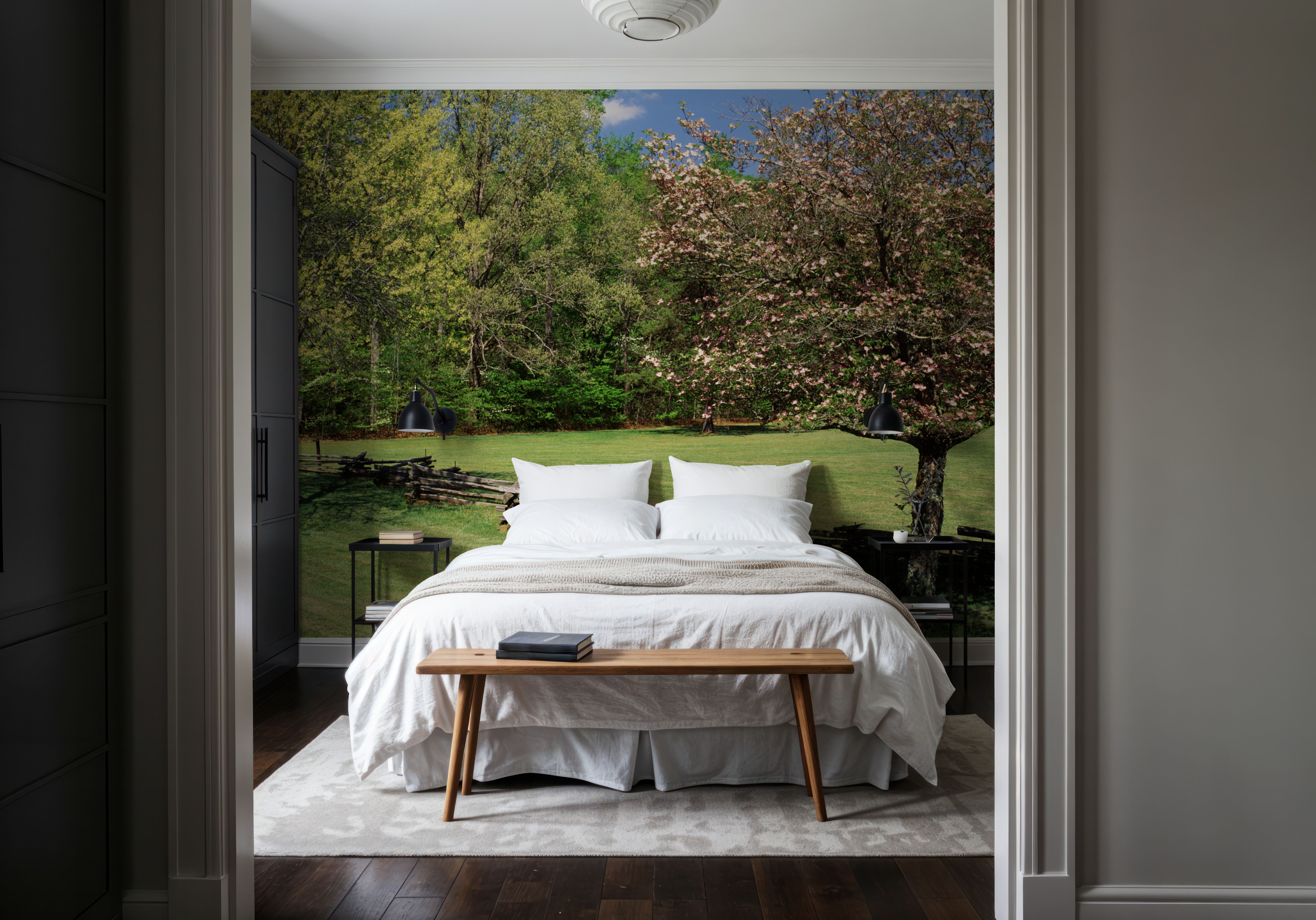 Pisgah National Forest