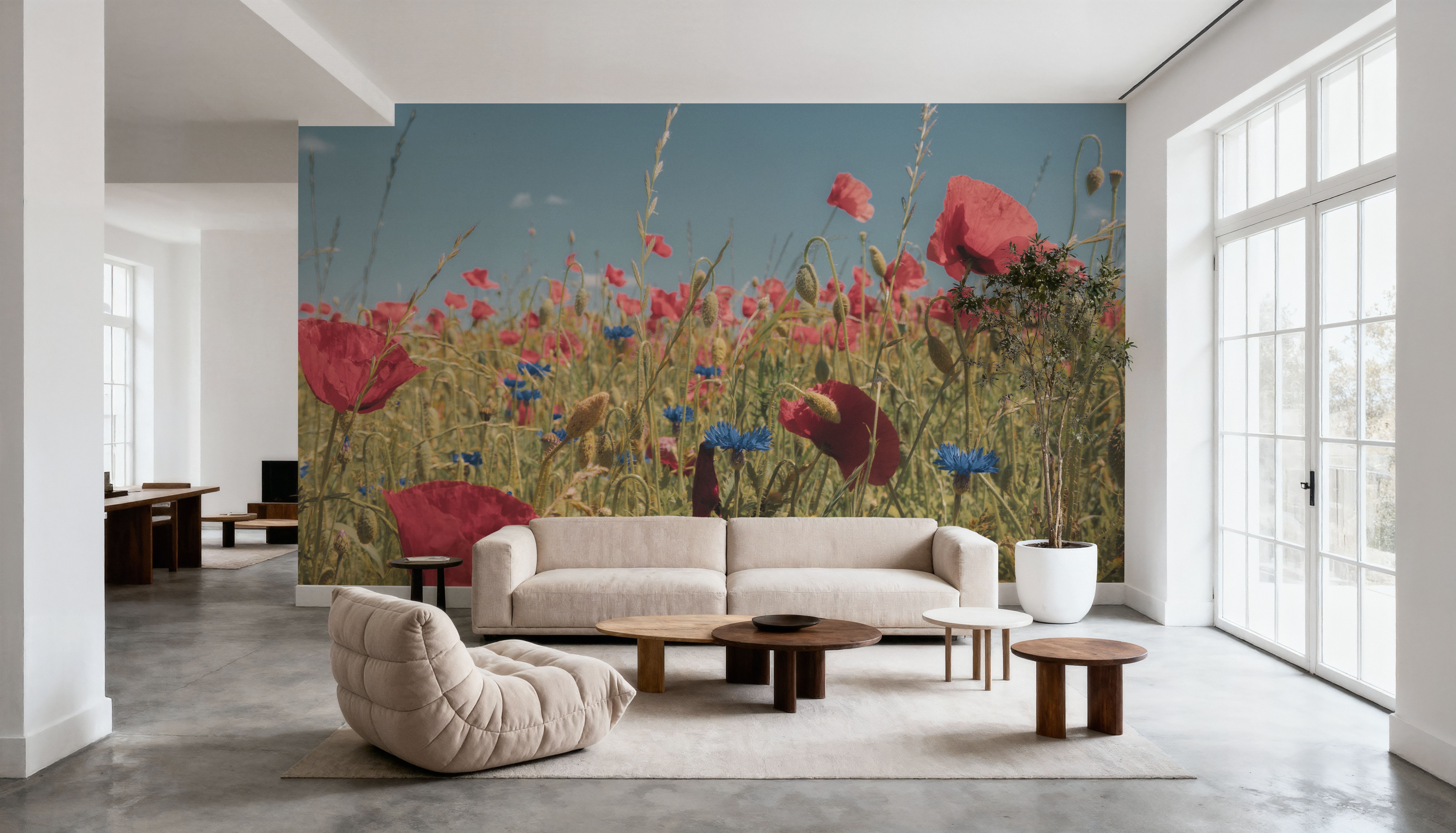 Wild Meadow