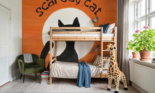 Scaredy Cat Orange