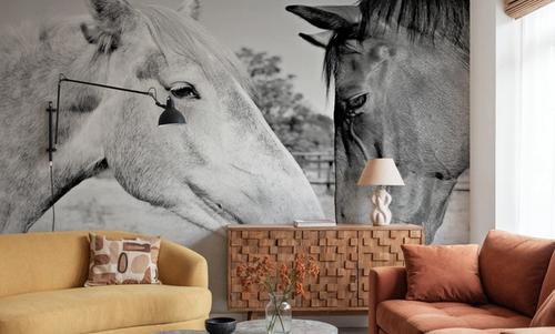 Two Horses BW