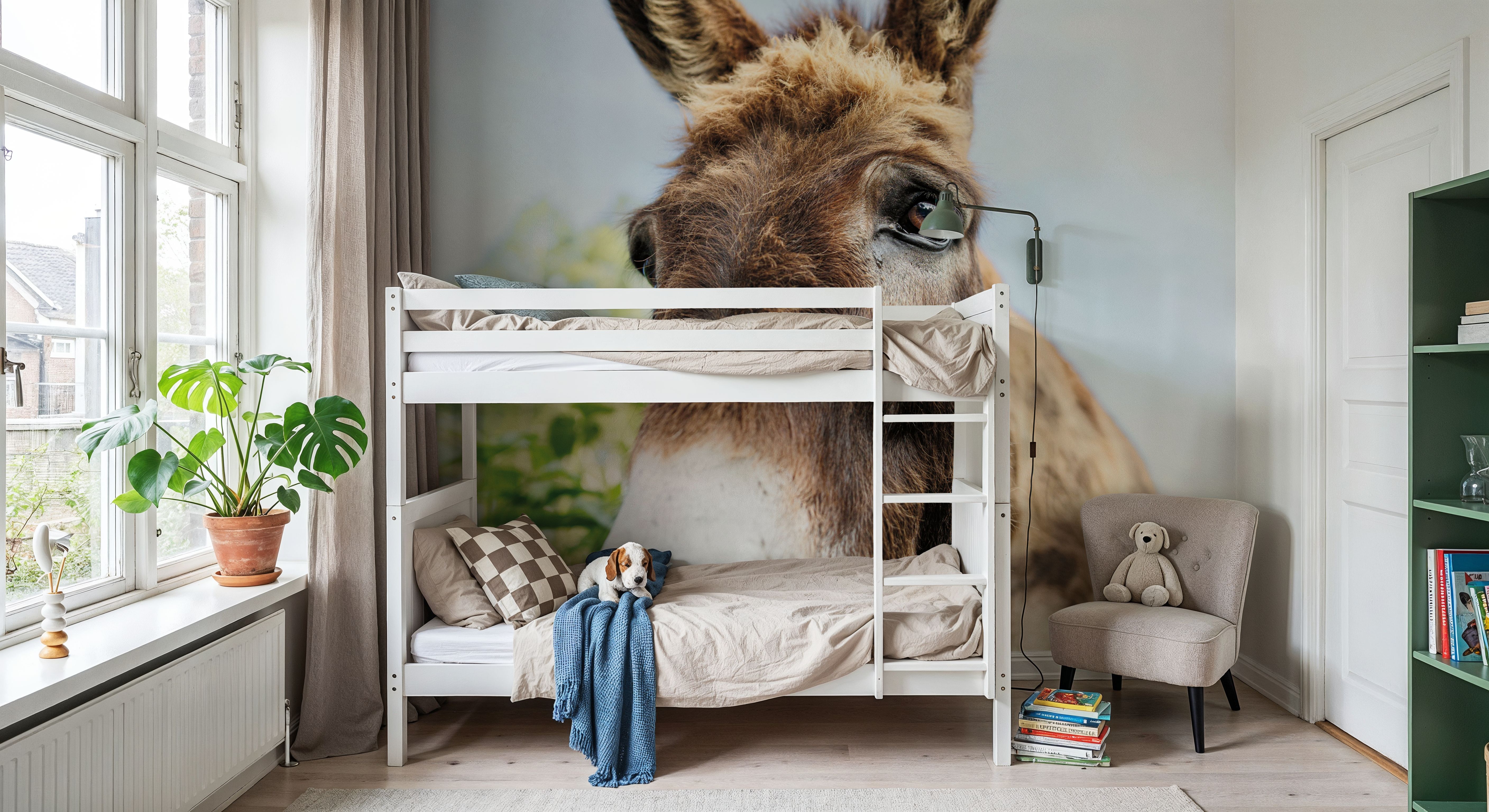 Donkey Pasture