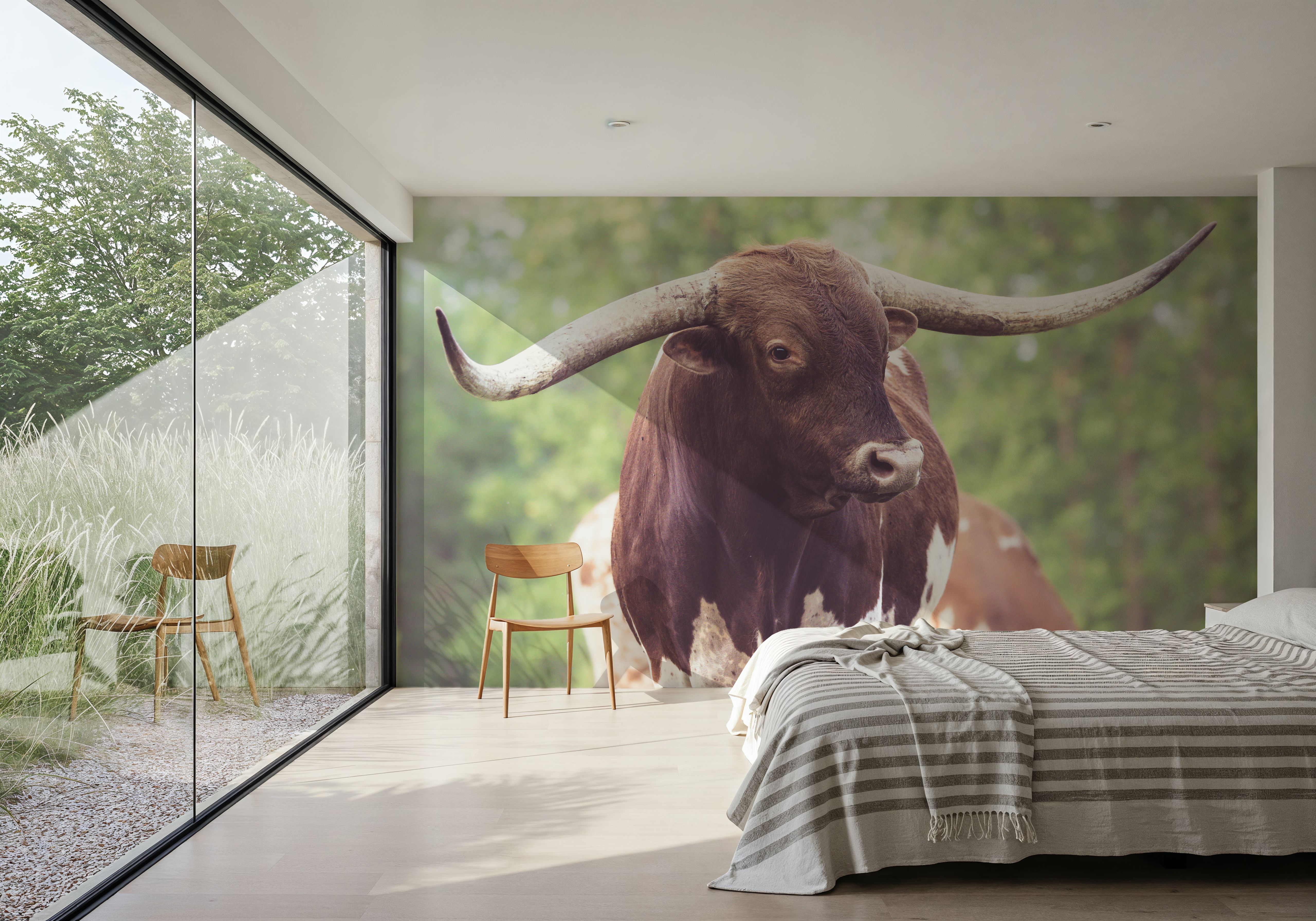 Longhorn Gaze I
