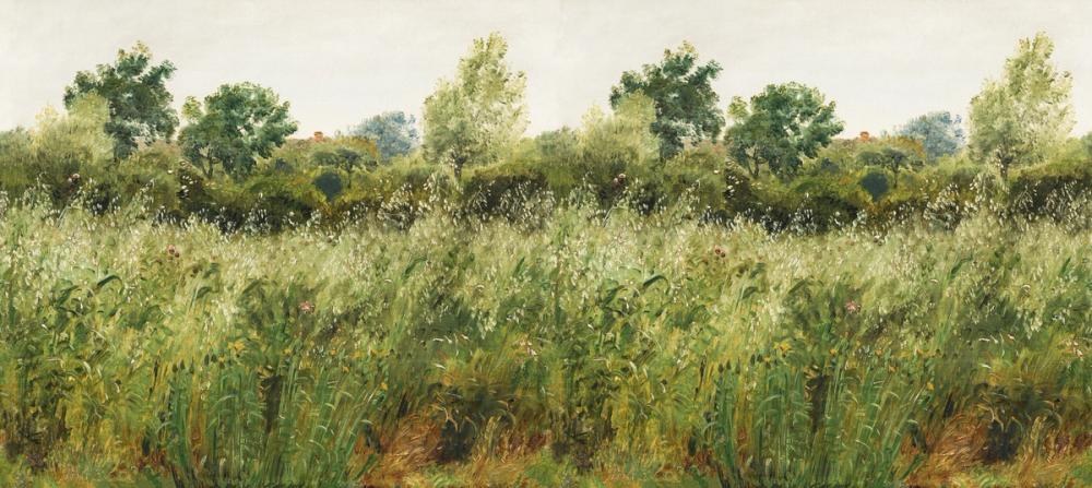 Meadow Whisper, Chlorophyll