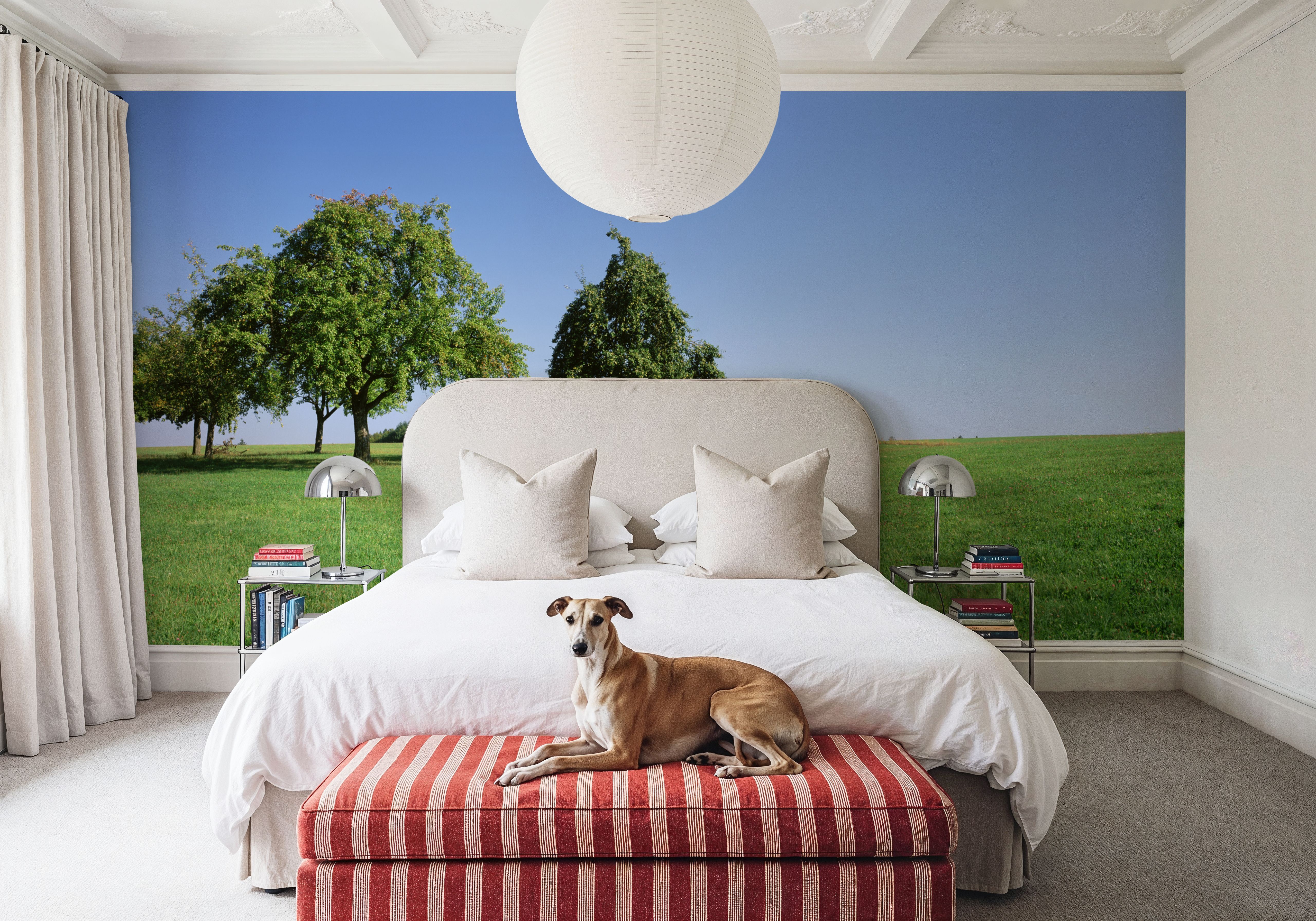 Tranquil Tree Line, Wallpaper