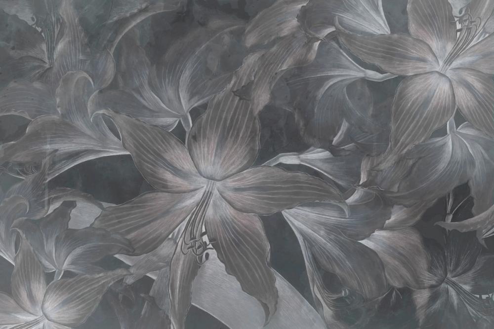  Amarantus dream Gray