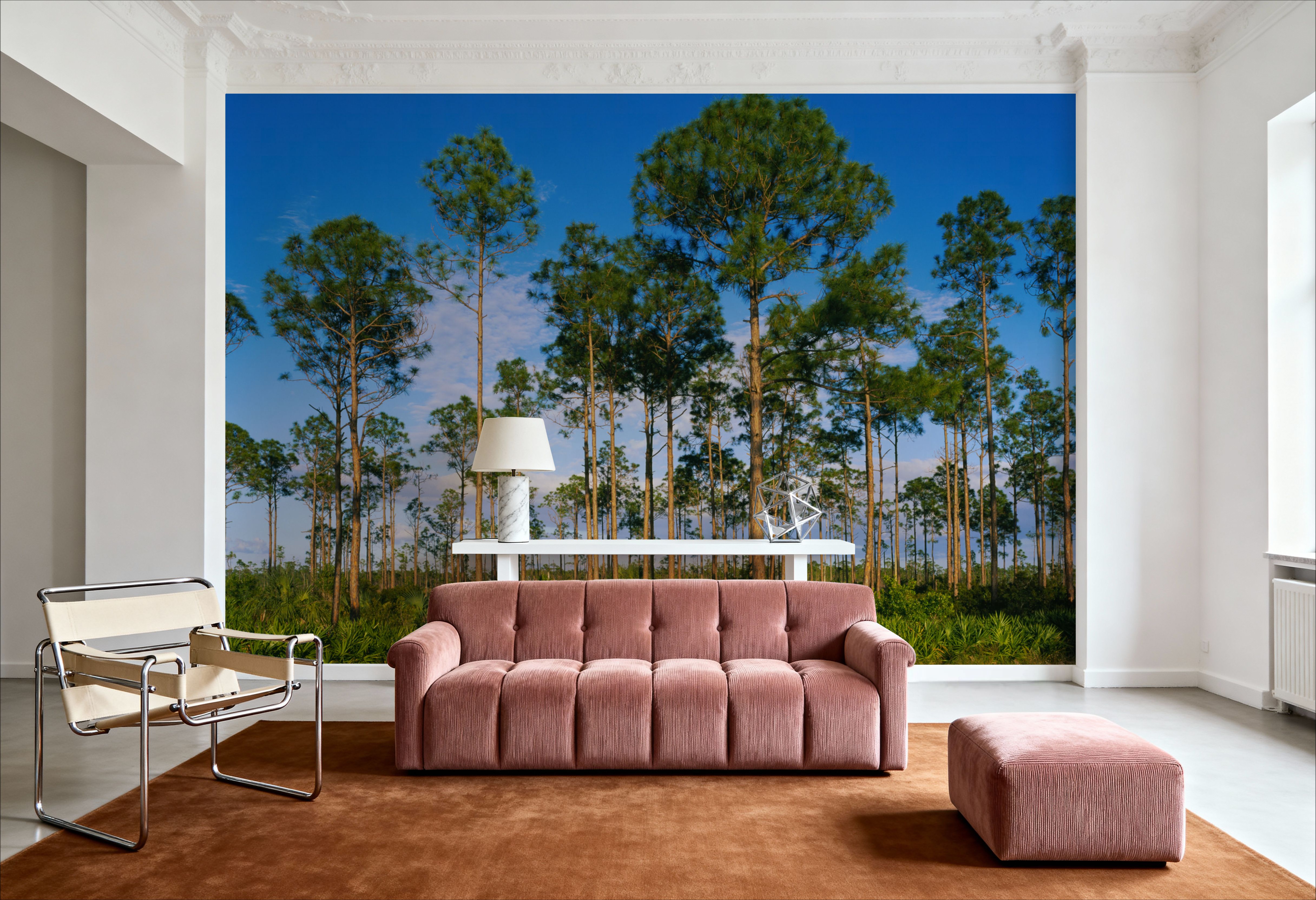 Everglades Tress in Daylight