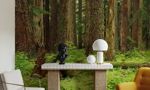 Forest Floor