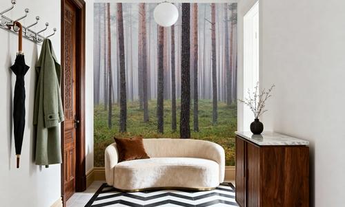 Hide and Seek Forest