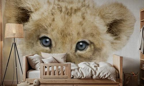 Peekaboo Baby Lion