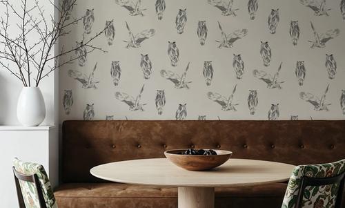 Falconiformes