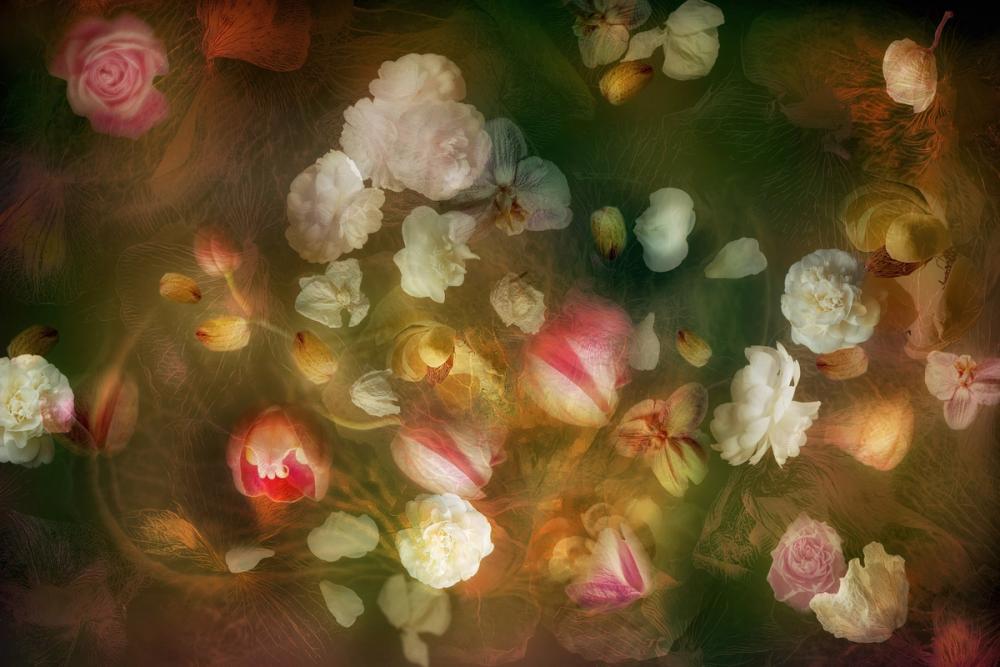 The Floral Golden Hour