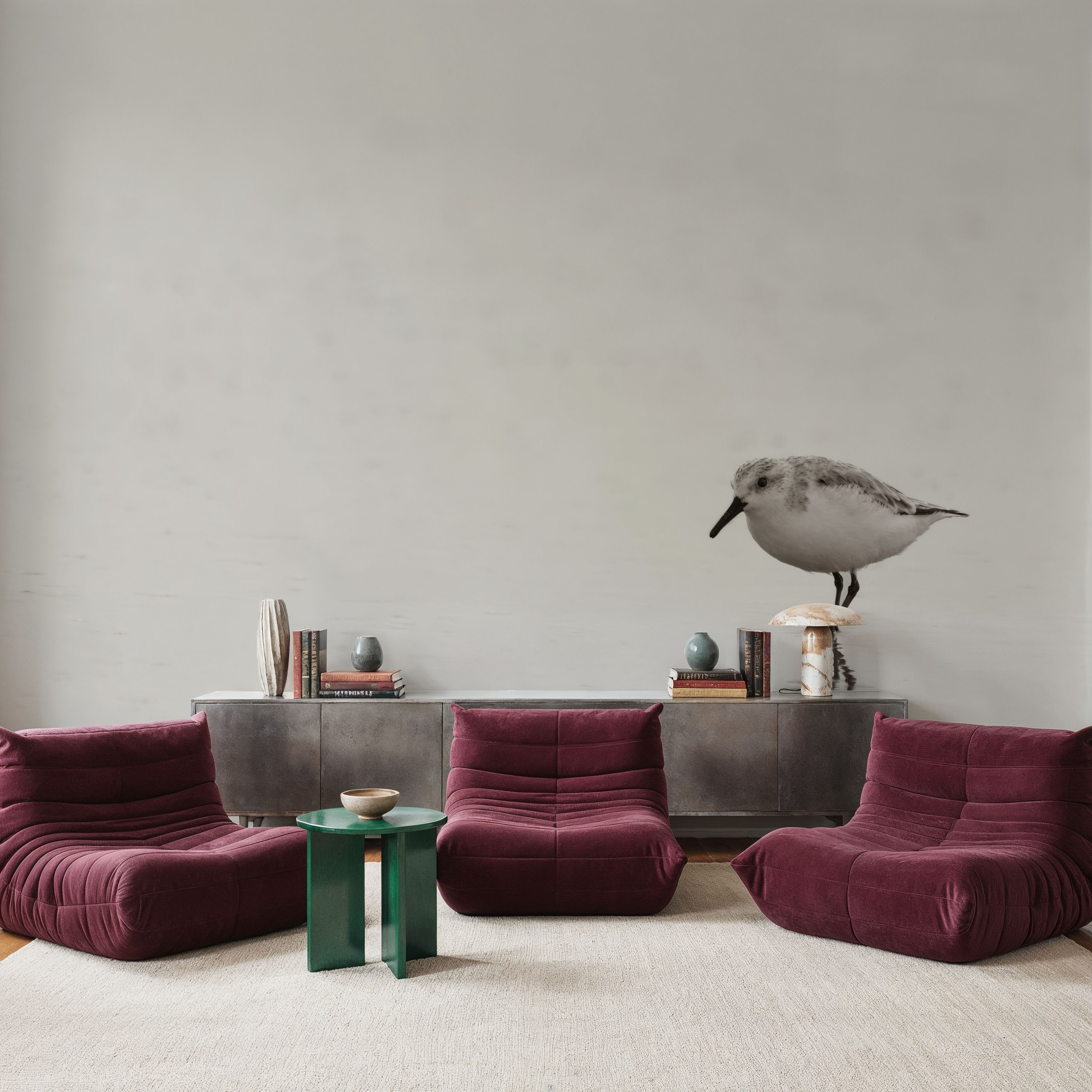 Tybee Island Sanderling