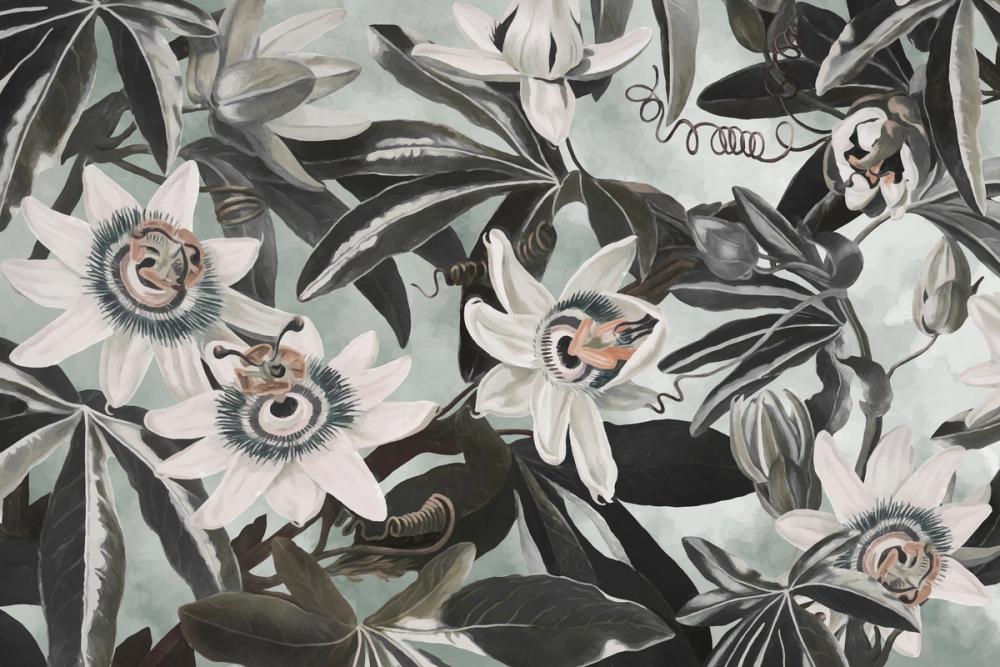 White Passiflora Green