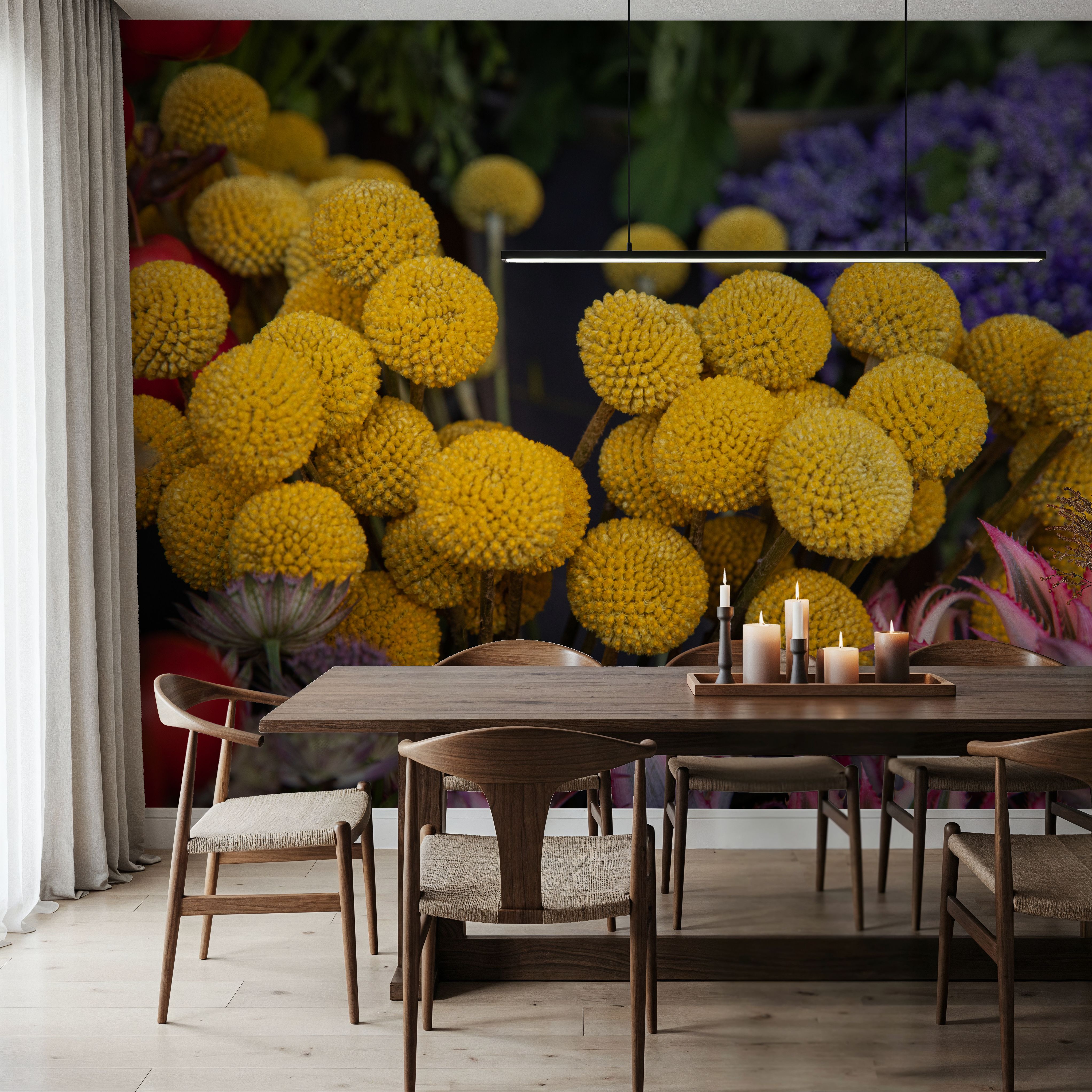 Billy Buttoms Craspedia