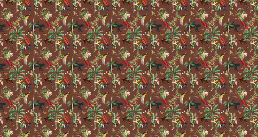 Kingdom Animalia Chocolate