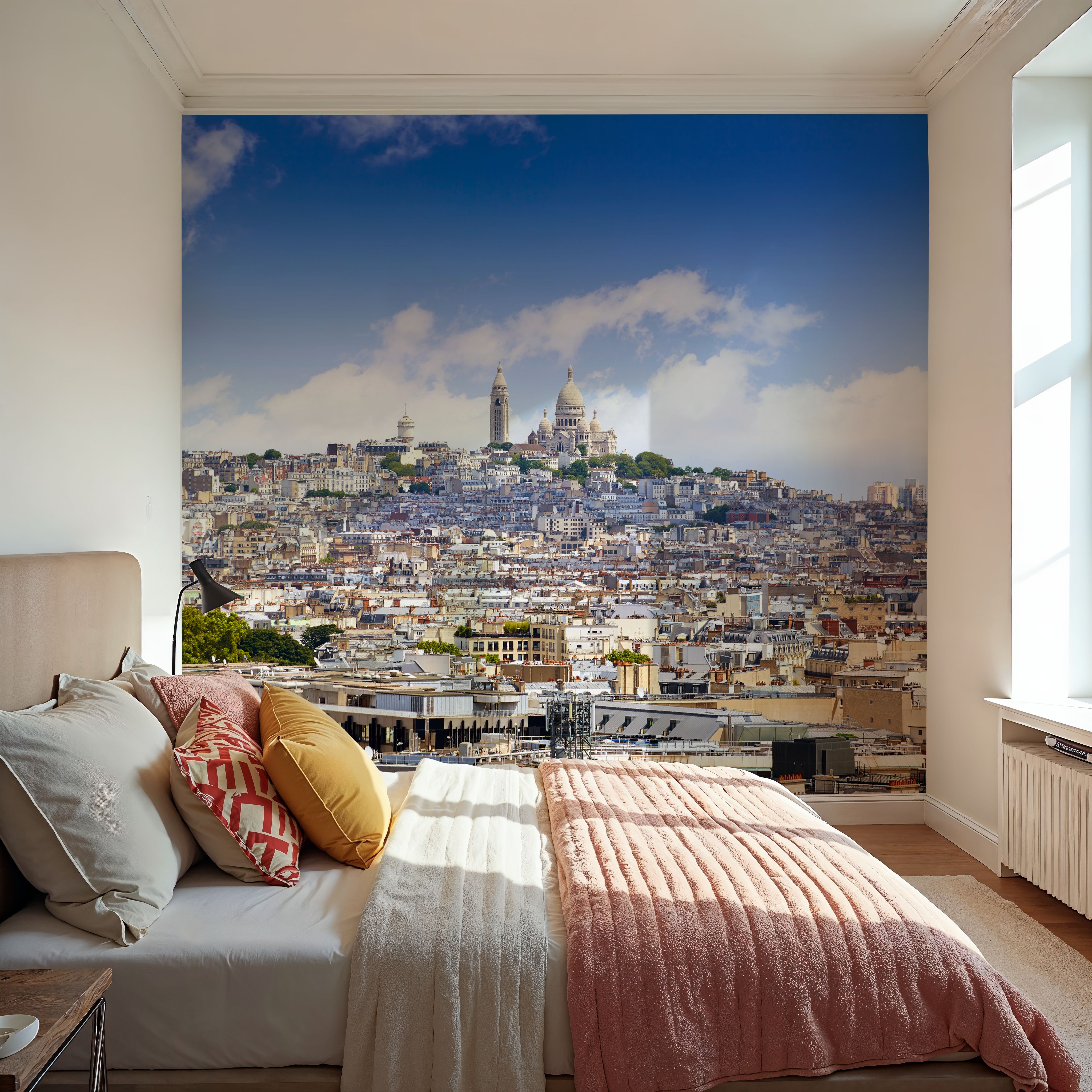 Paris Skyline and Sacre Coeur Basilique
