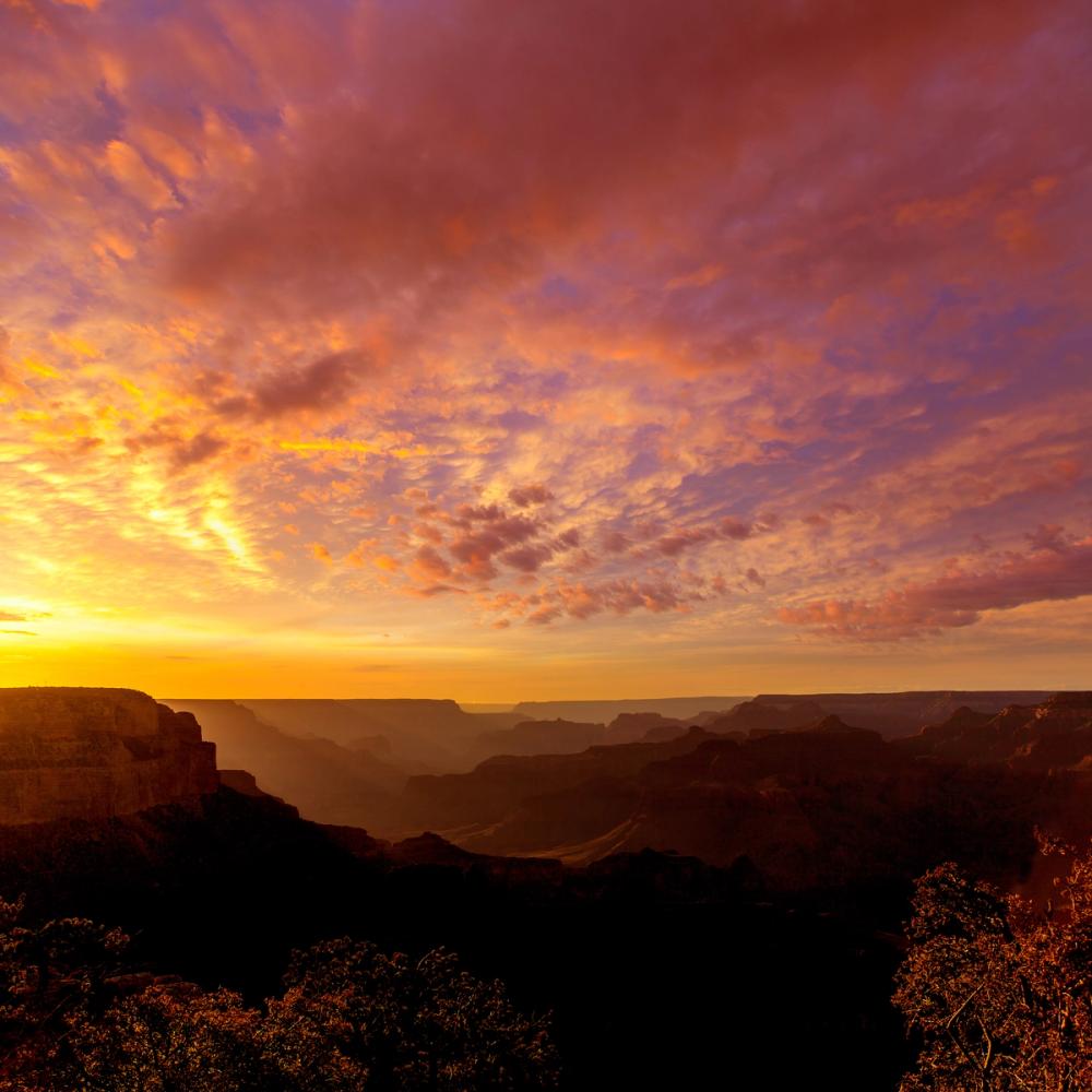 Grand Canyon Sunset Pink