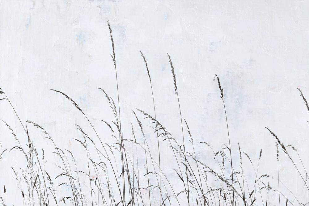 Meadow Grass II