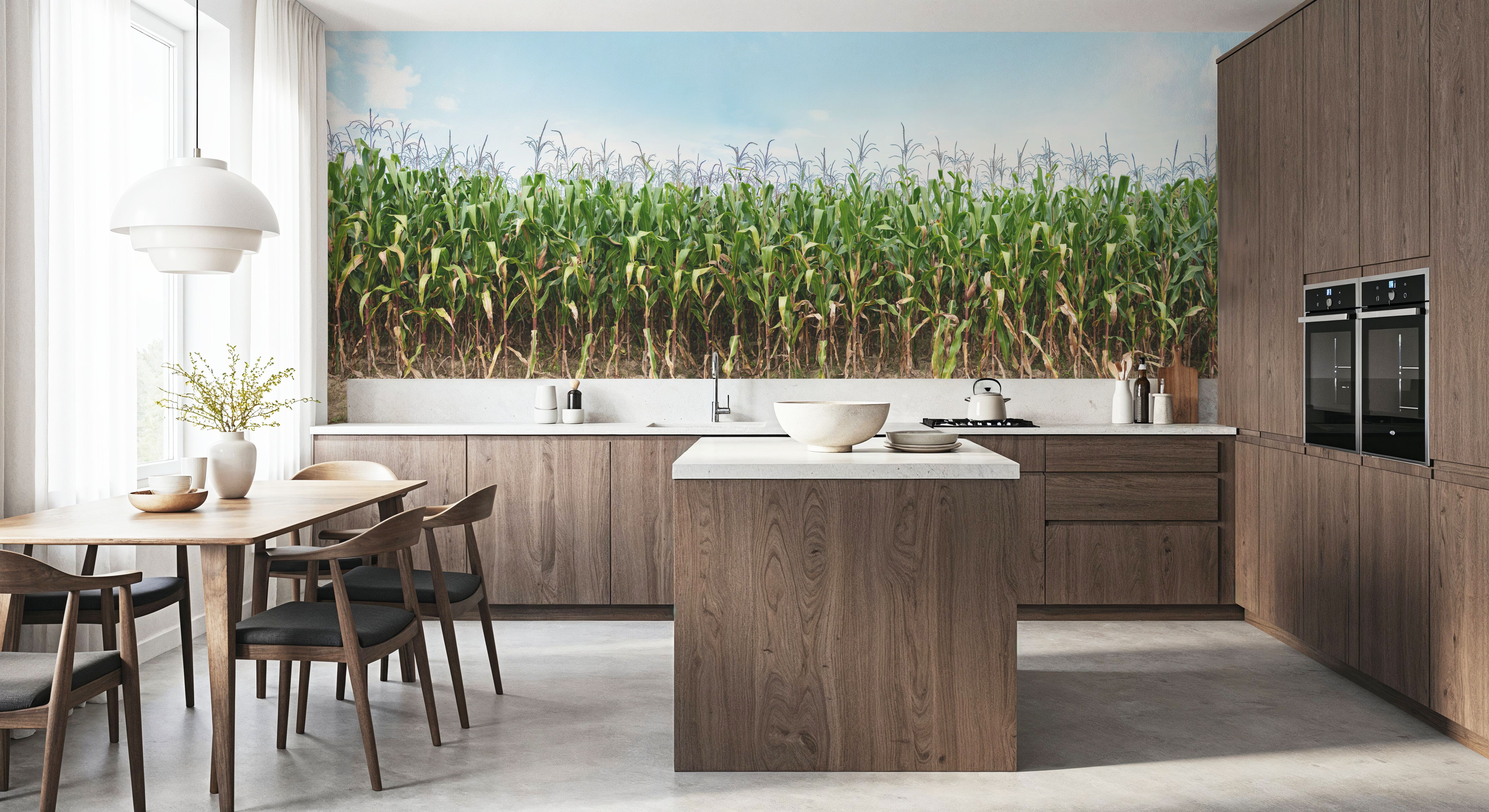 Corn Field, Wallpaper