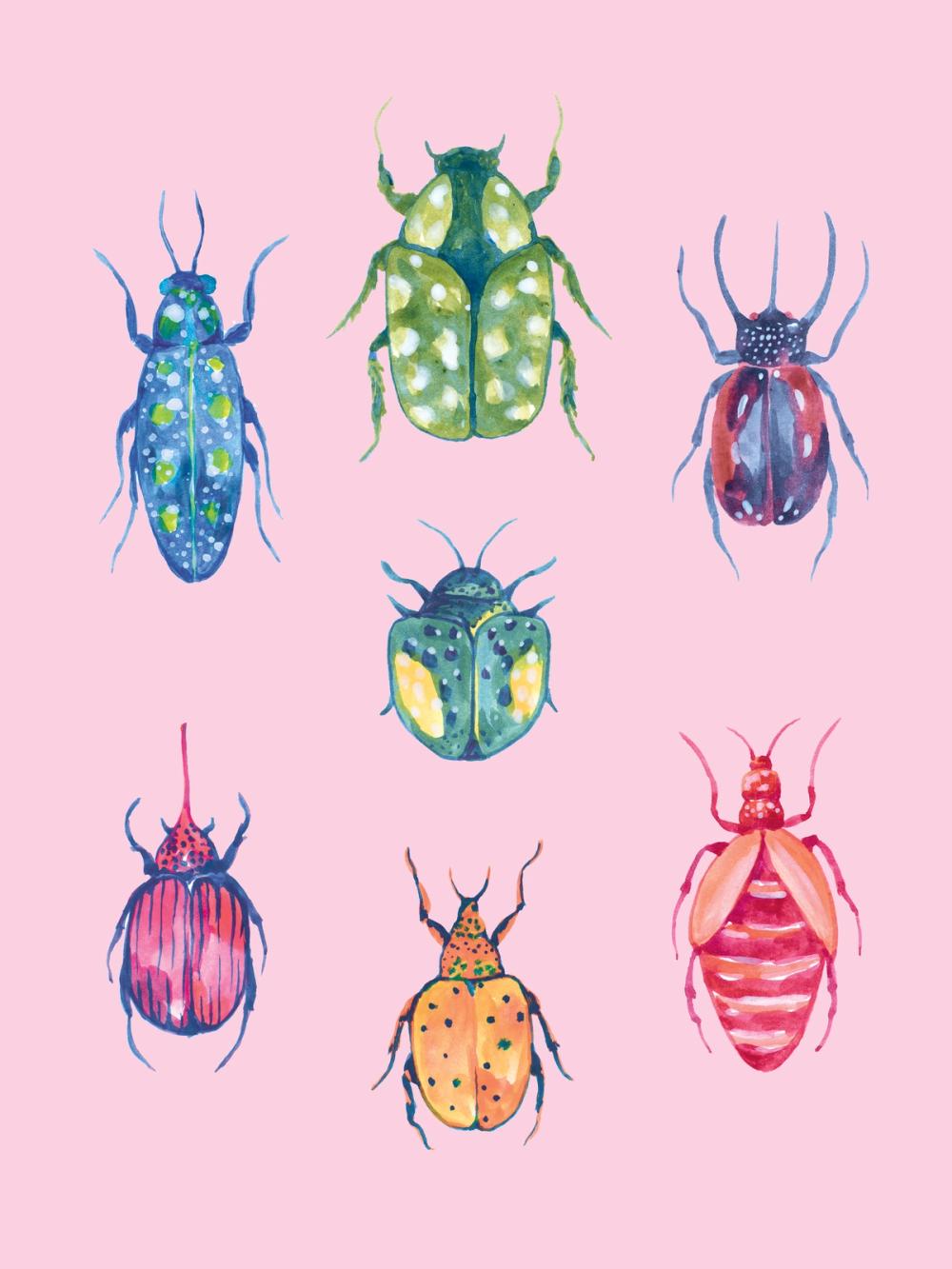 Beetle Chart Bright