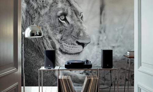 Young Lion BW