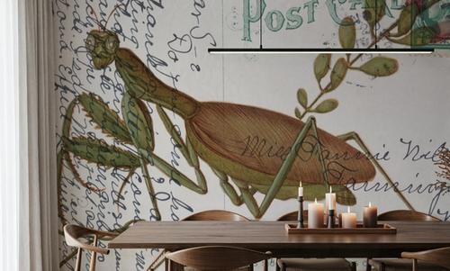 Praying Mantis Postcard