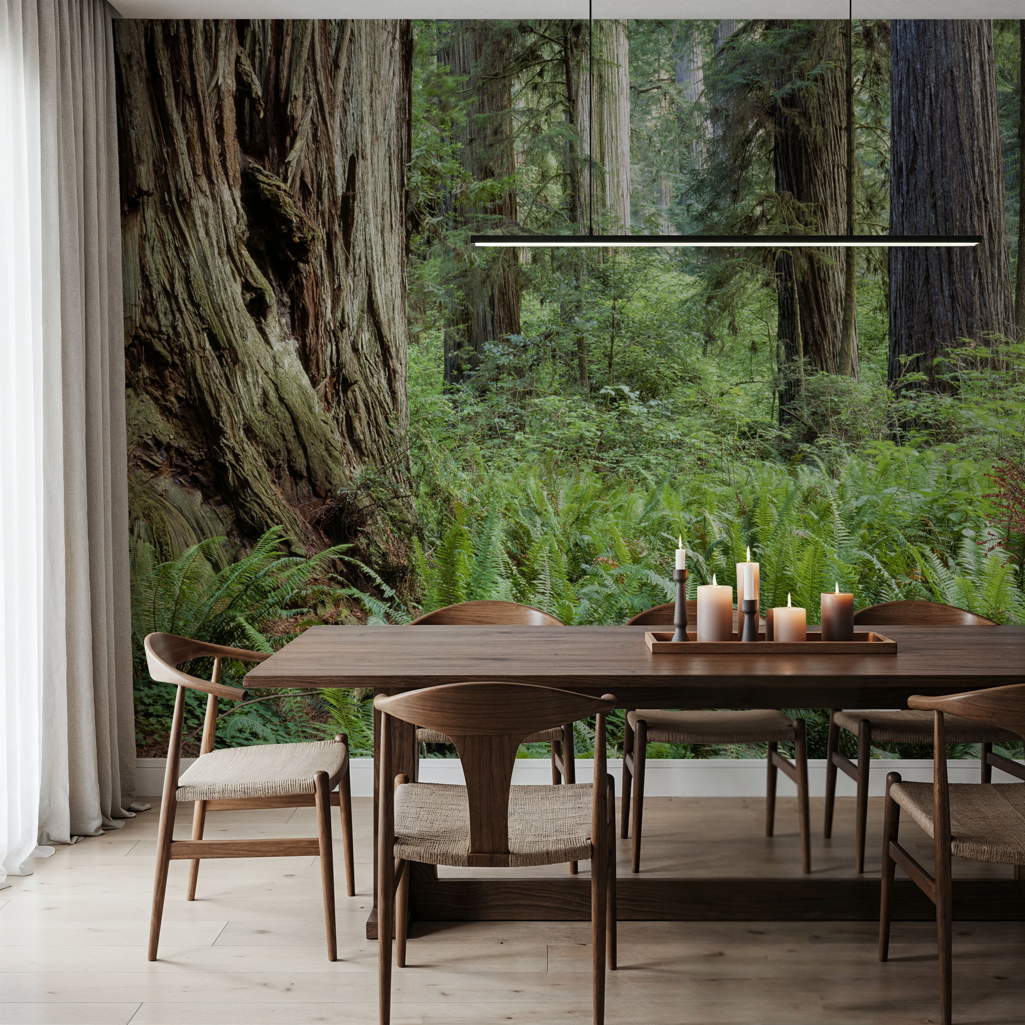 Ancient Fern Forest