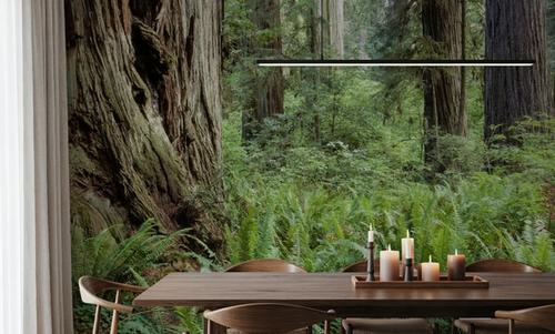 Ancient Fern Forest