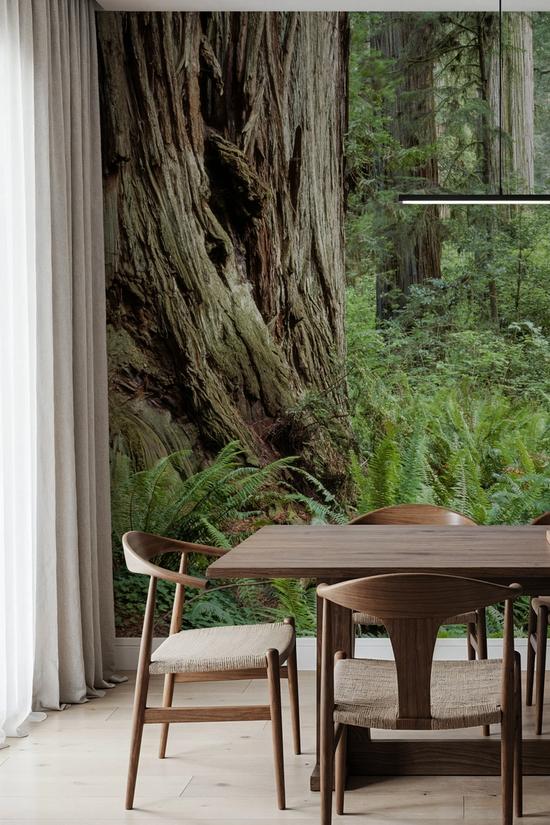 Ancient Fern Forest