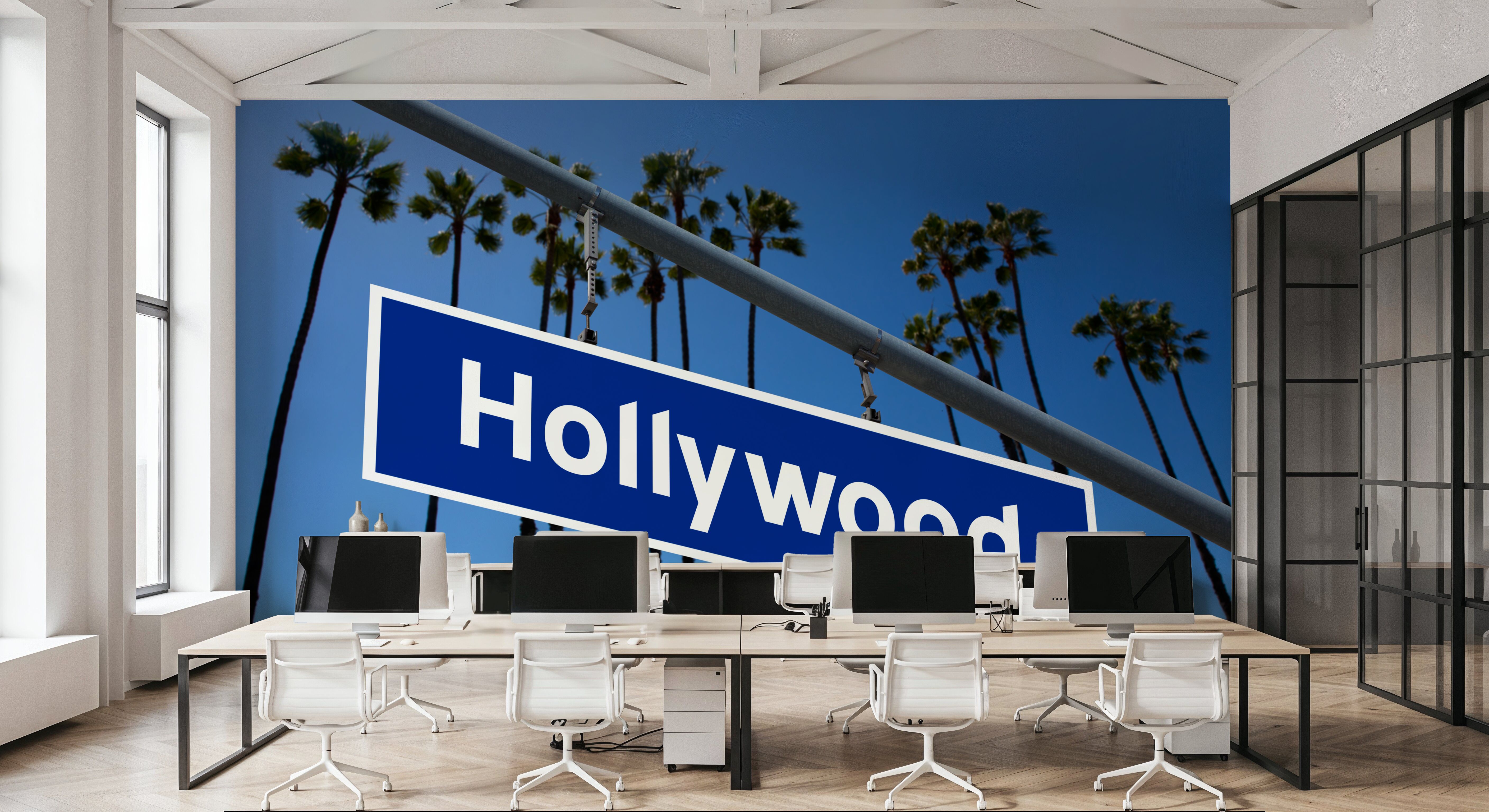Hollywood Palms