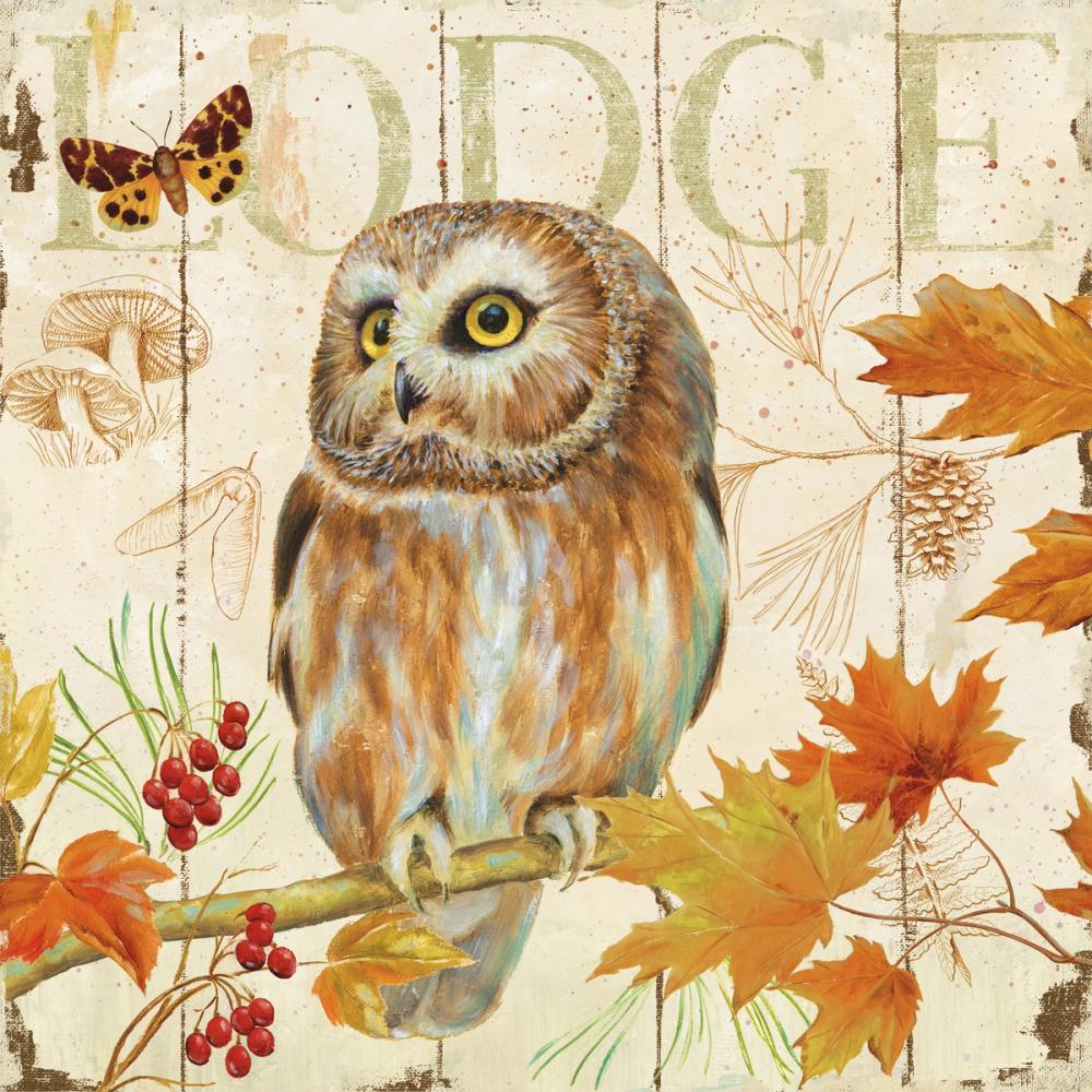 Owl Lodge II