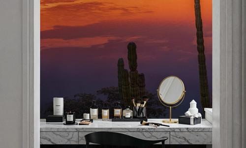 Cardon Cactus Sunset