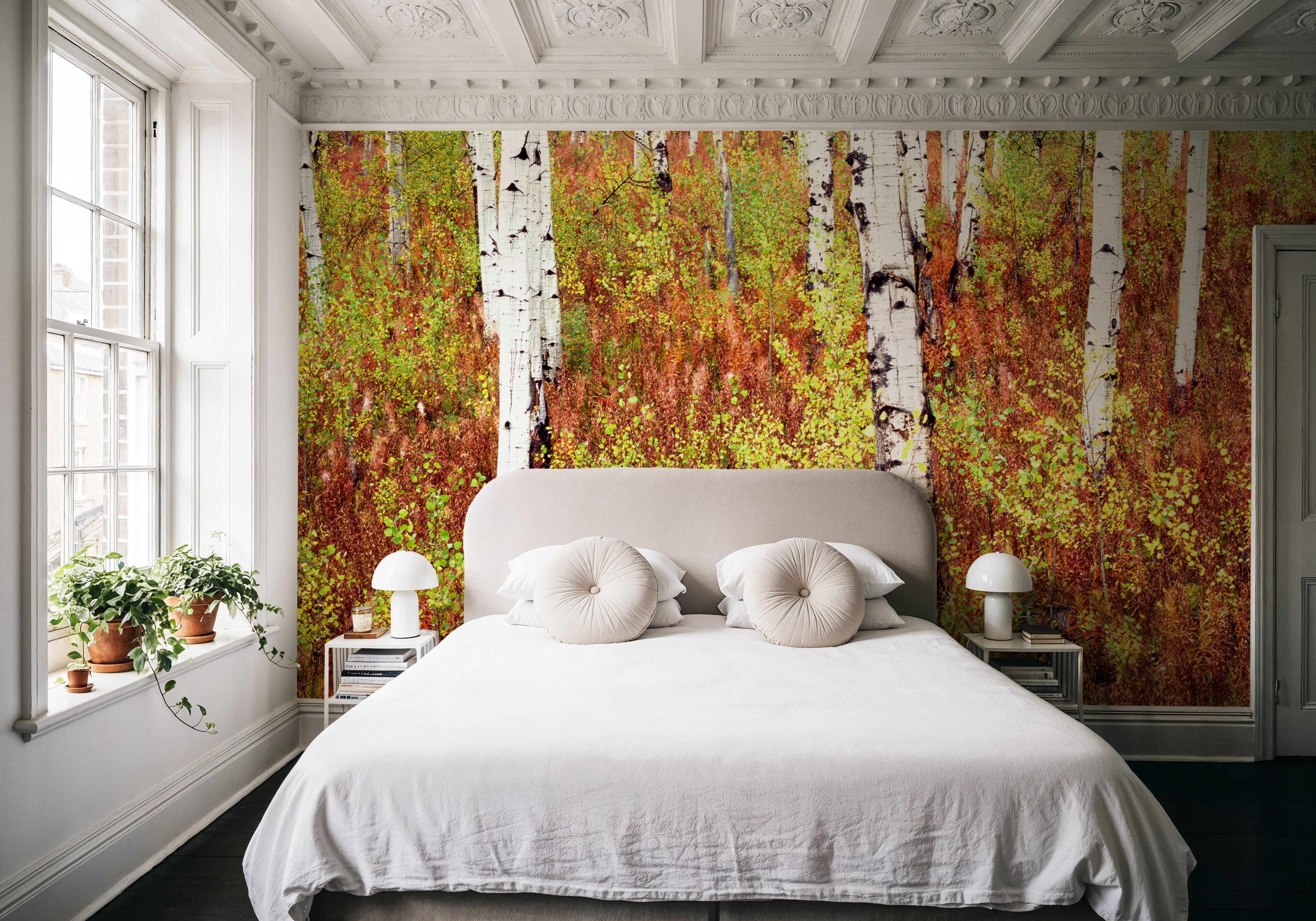 Autumn Birch Haven