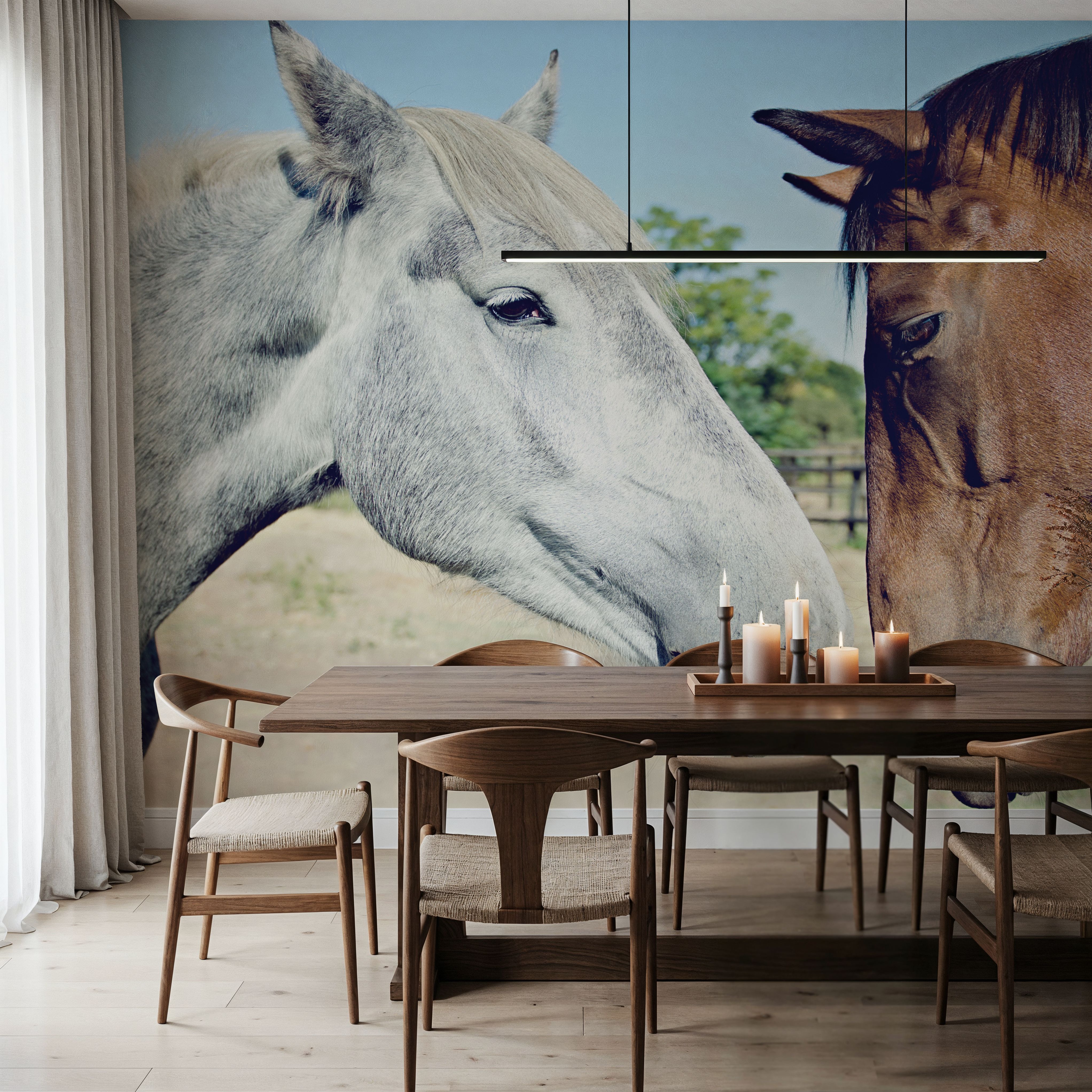 Two Horses