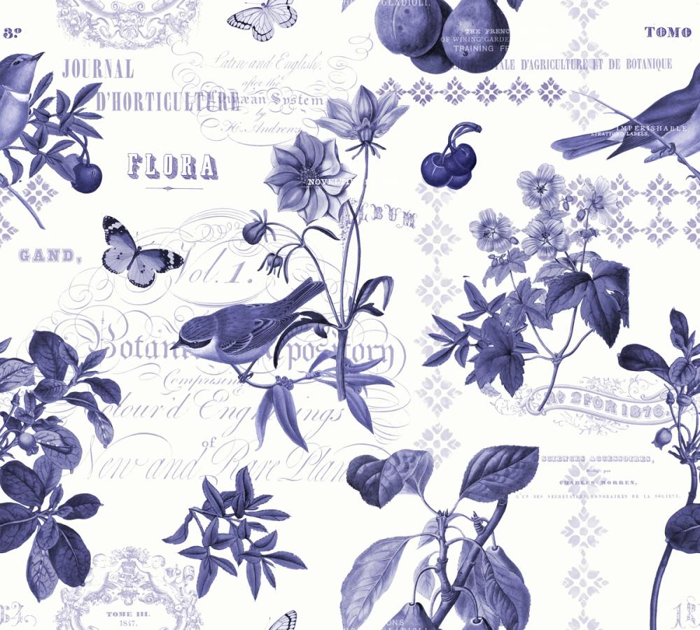 Botanical Postcard White