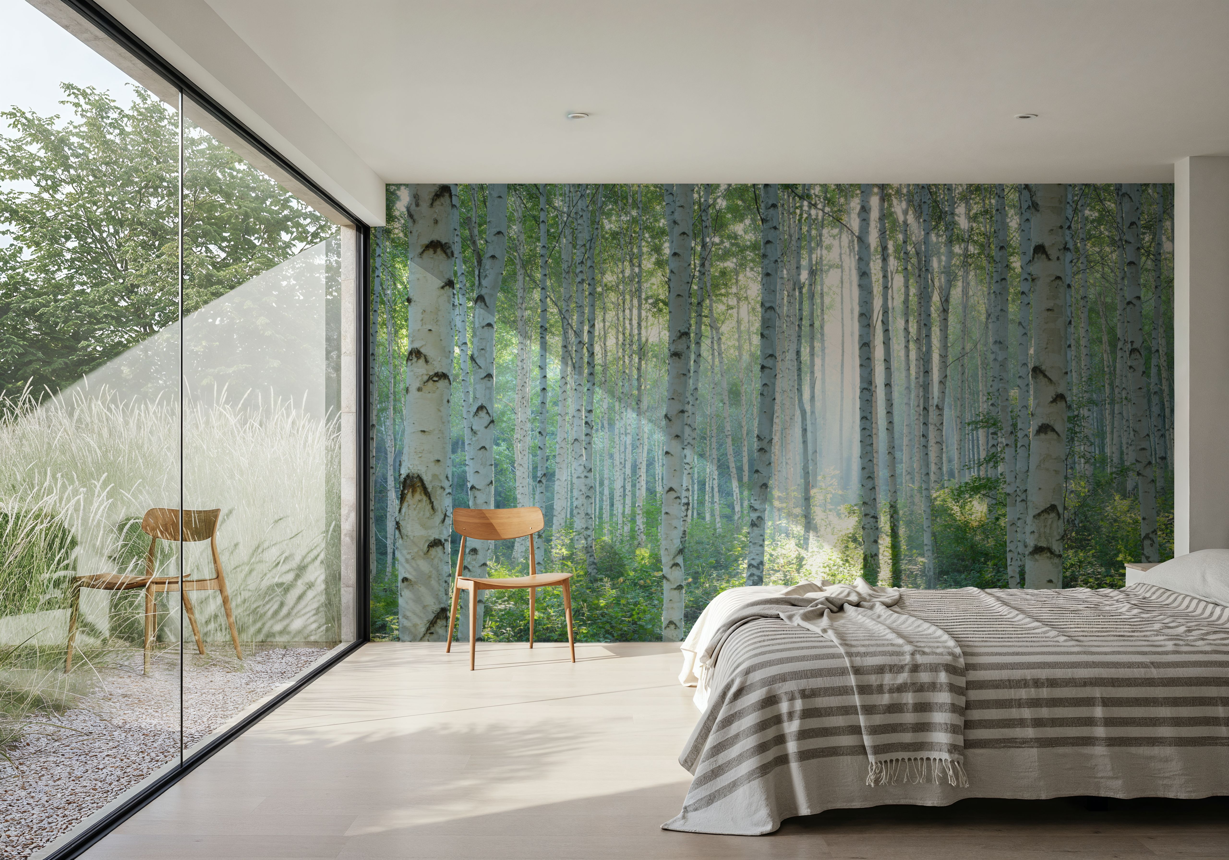 Peaceful Birch Woods