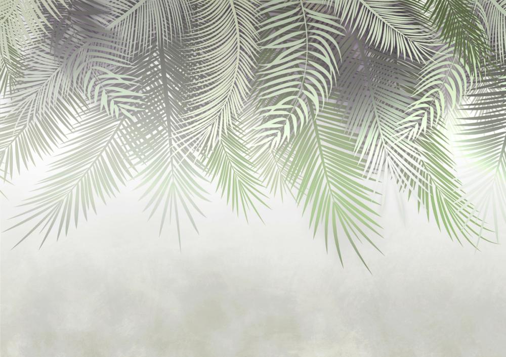 Home Grown Palms
