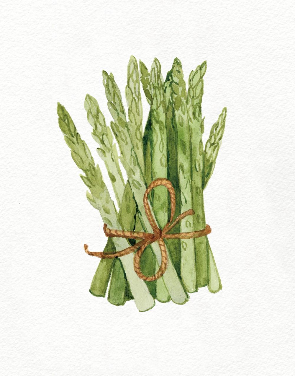 Life on the Farm Asparagus