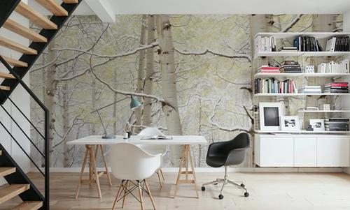 Winter Birch Forest