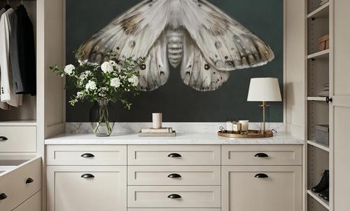 Elegant Moth II