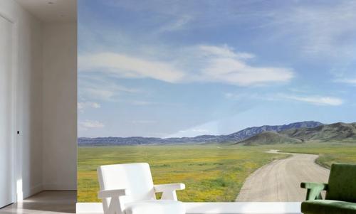 Country Road Horizon