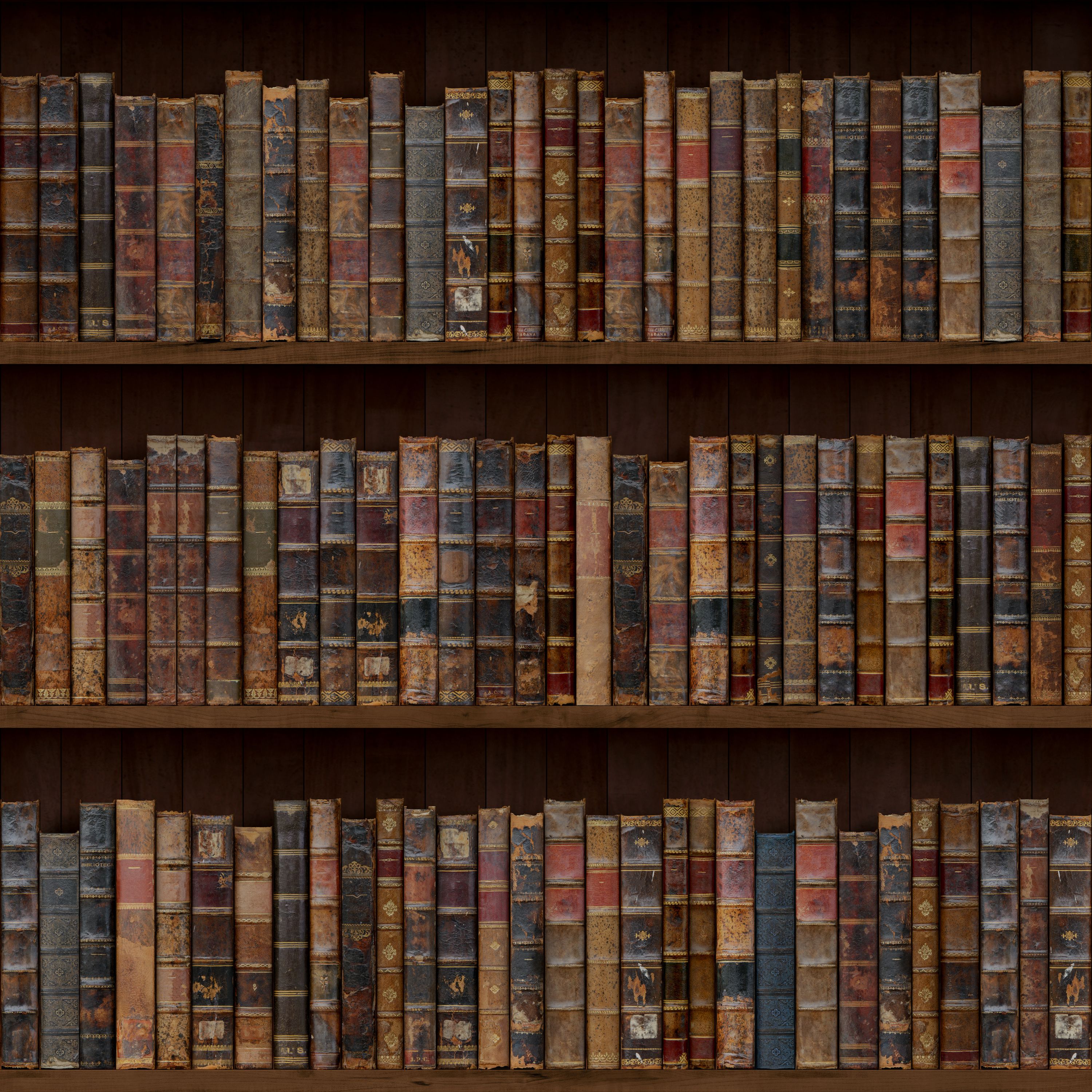 books in a bookshelf
