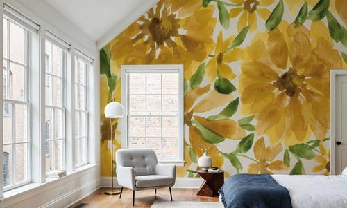 Sunflower Blooms