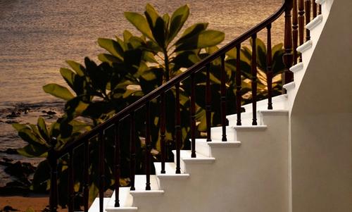 Golden Palm Horizon