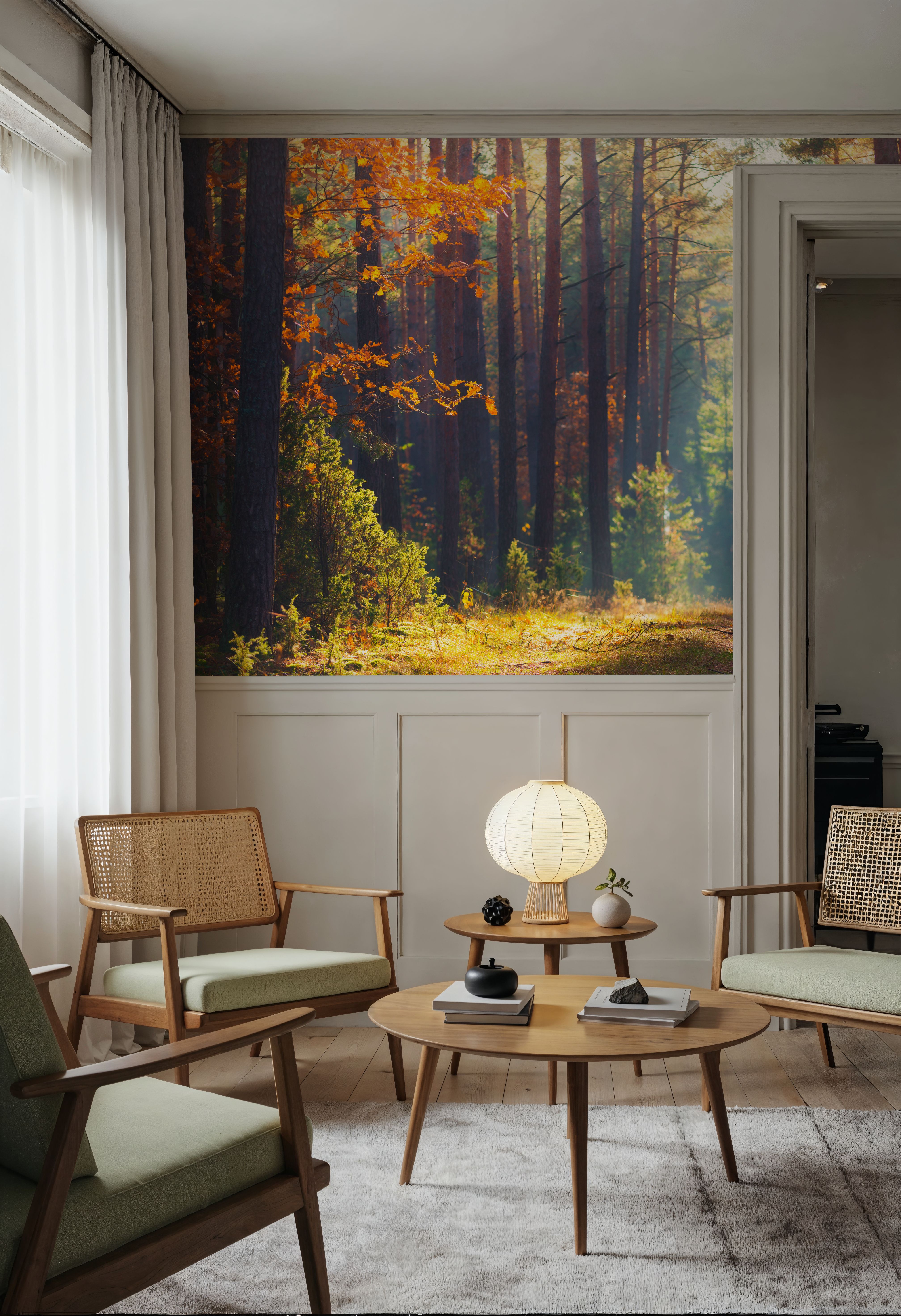 Autumn Forest Morning