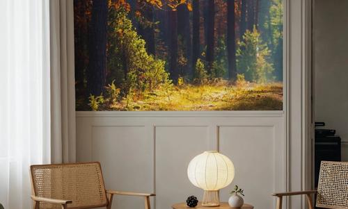 Autumn Forest Morning