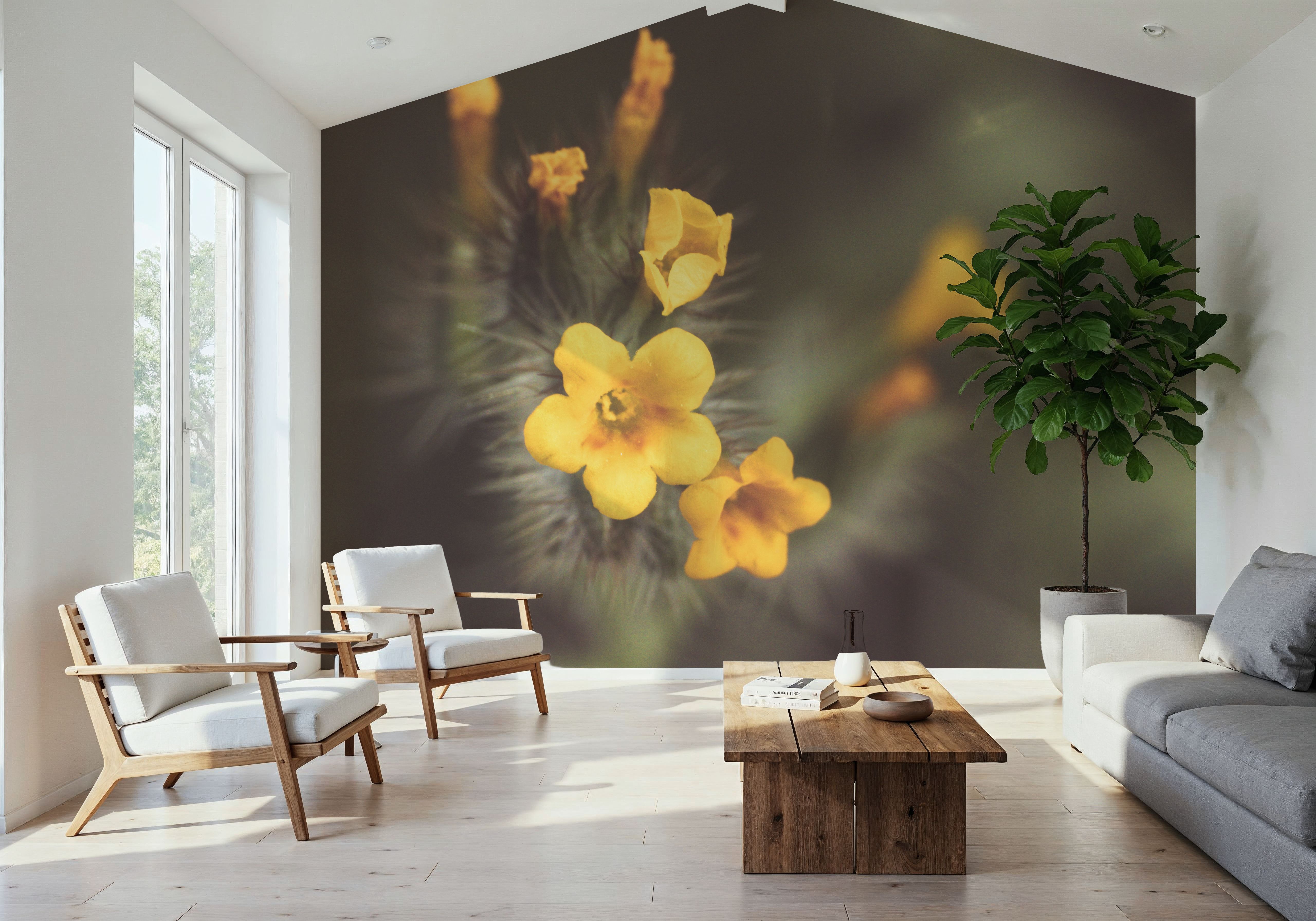 Common Fiddleneck, Wallpaper